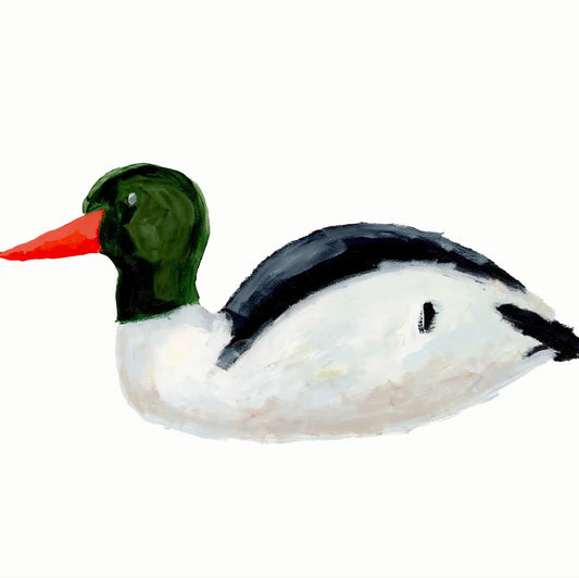 Framed Duck 4 Print 15.5" x 13.5"