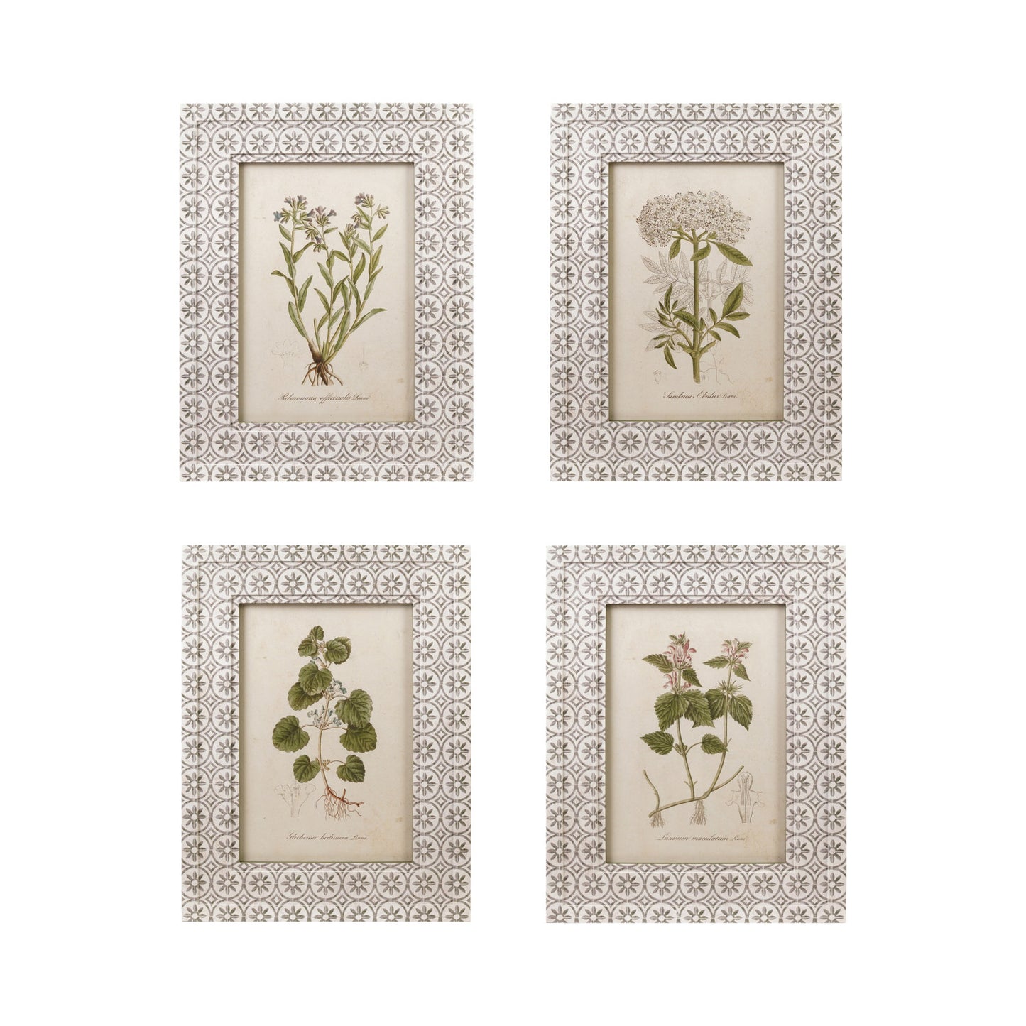 Wood Printed Framed Glass Wall Décor Botanical Image 4 Styles