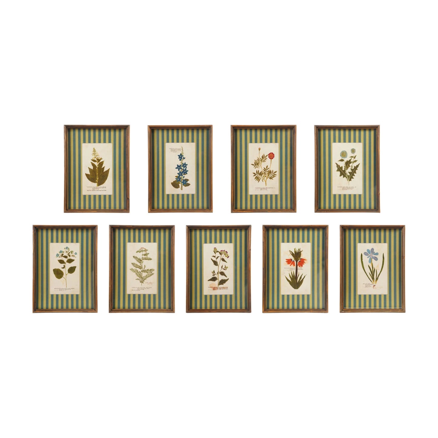 Wood Framed Glass Wall Décor W Flower Striped Mat 9 Styles