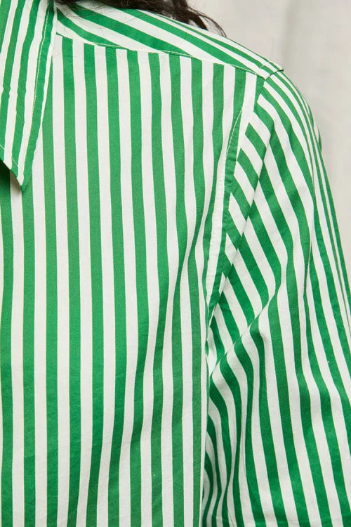 Poplin LS Woven Button Top Grass Stripe