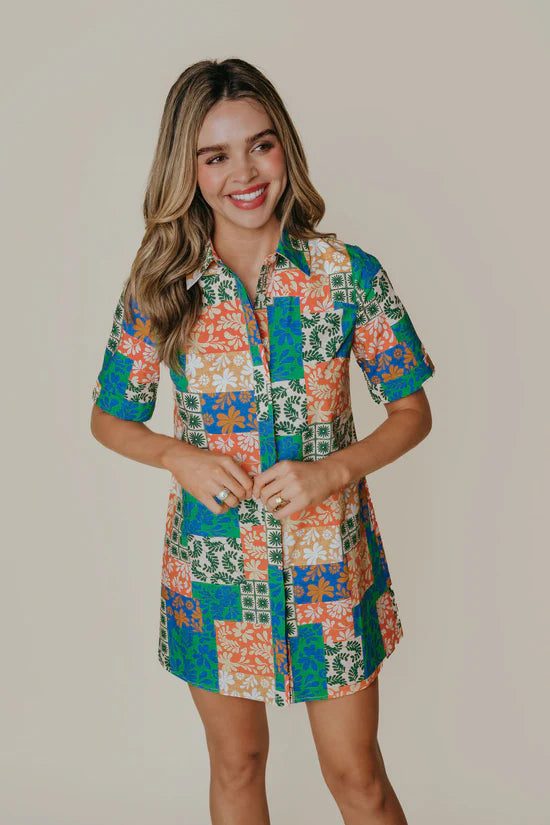 Demi Dress Picnic