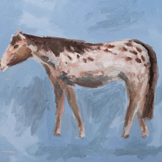 Framed Paint Horse Print 15.5" x 13.5"
