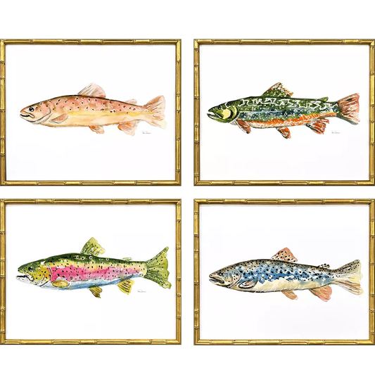 Colorful Trout