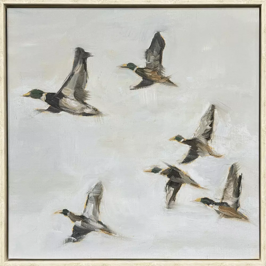 Mallard Migration II