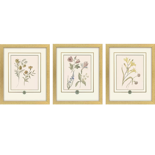 Garden Study II