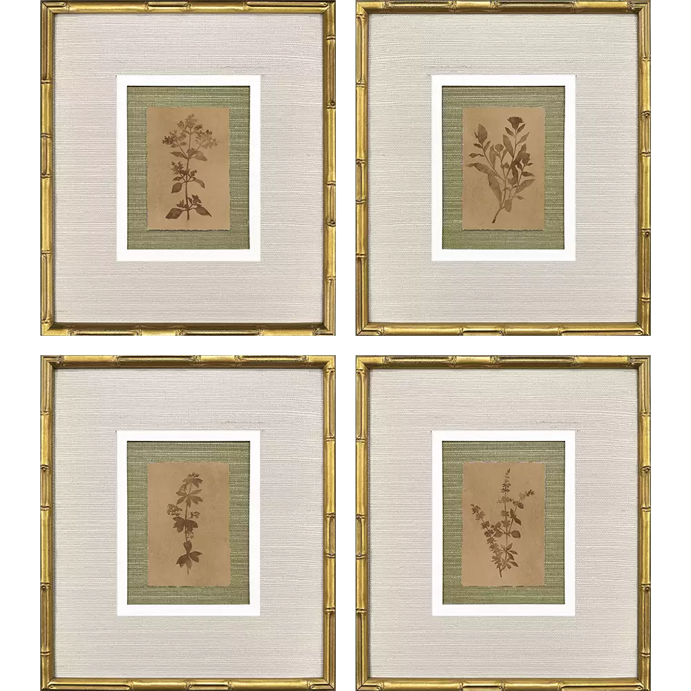 Organic Botanical II