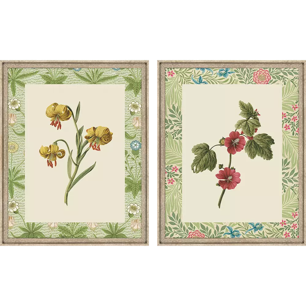 Ornamental Blooms