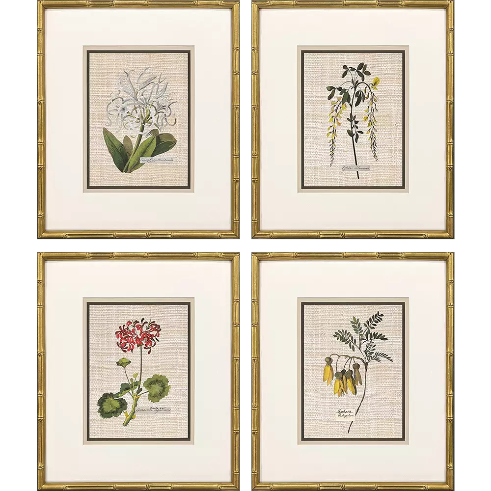 Antique Botanica I