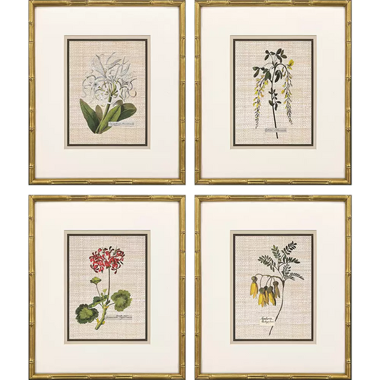 Antique Botanica I