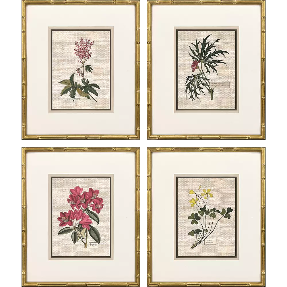 Antique Botanica II