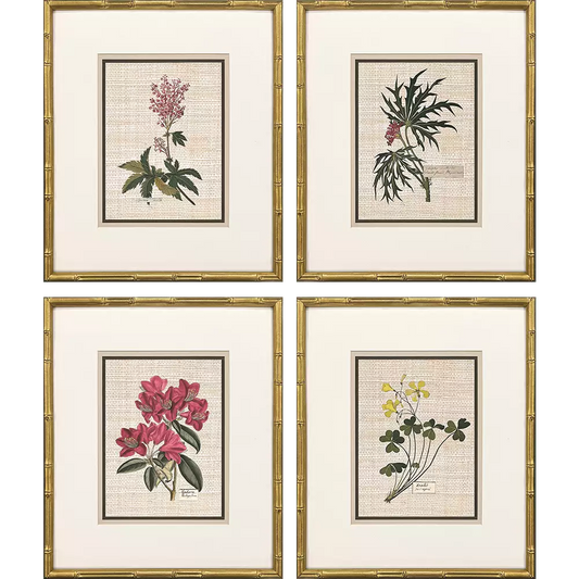Antique Botanica II