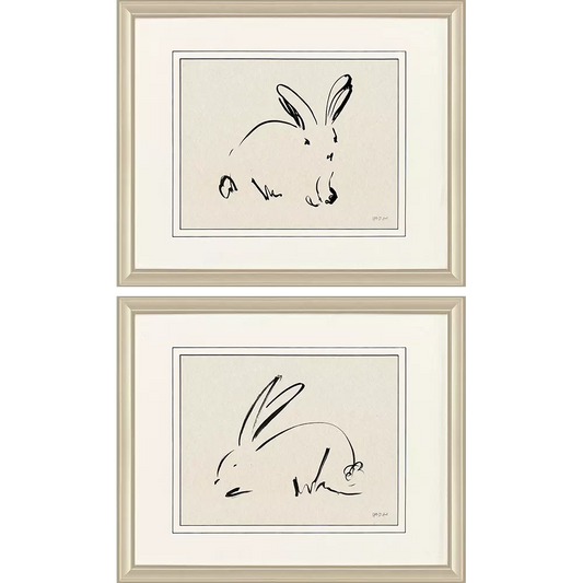 Illustrative Bunny