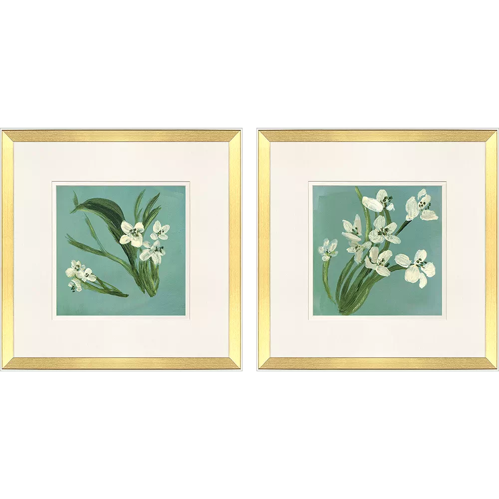 White Tropicals